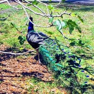 Meet your Posher, Terri